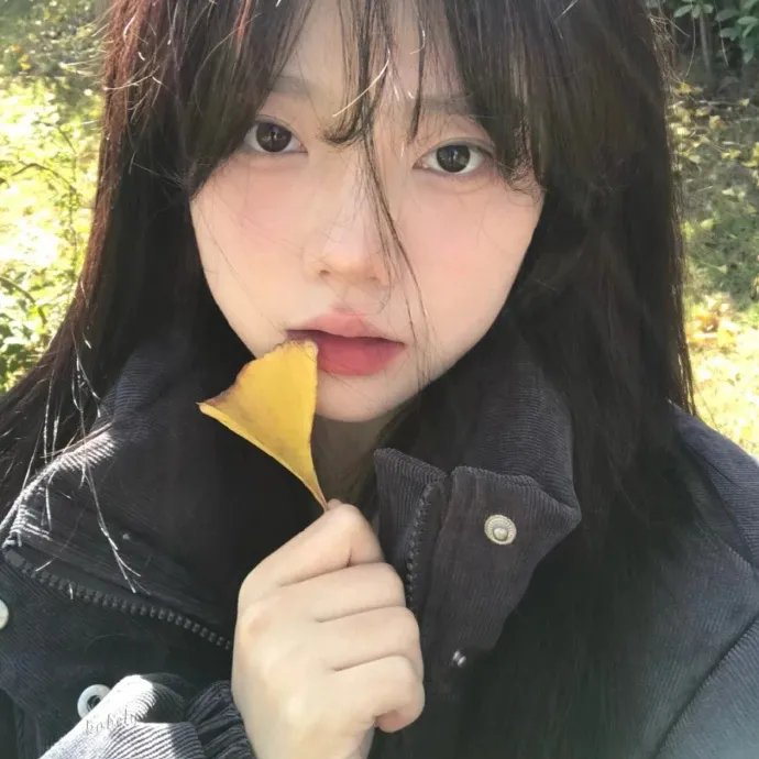 剧集连看