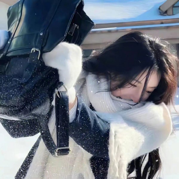 完美妻子的完美复仇计划
