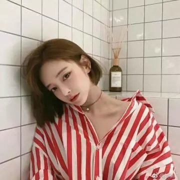 白色驯鹿